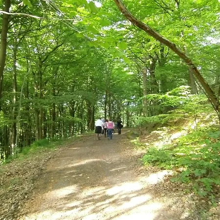 Welcome 公寓 温特贝格