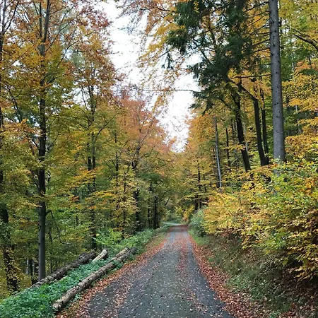 Welcome 公寓 温特贝格