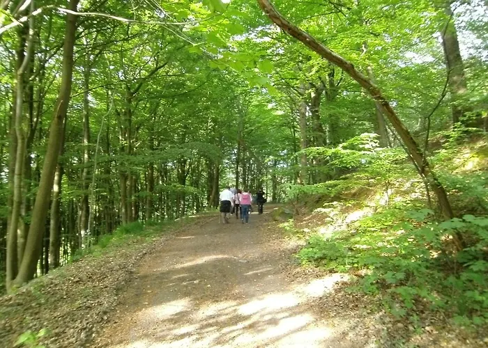 Welcome Apartament Winterberg