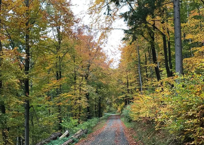 Welcome Apartament Winterberg